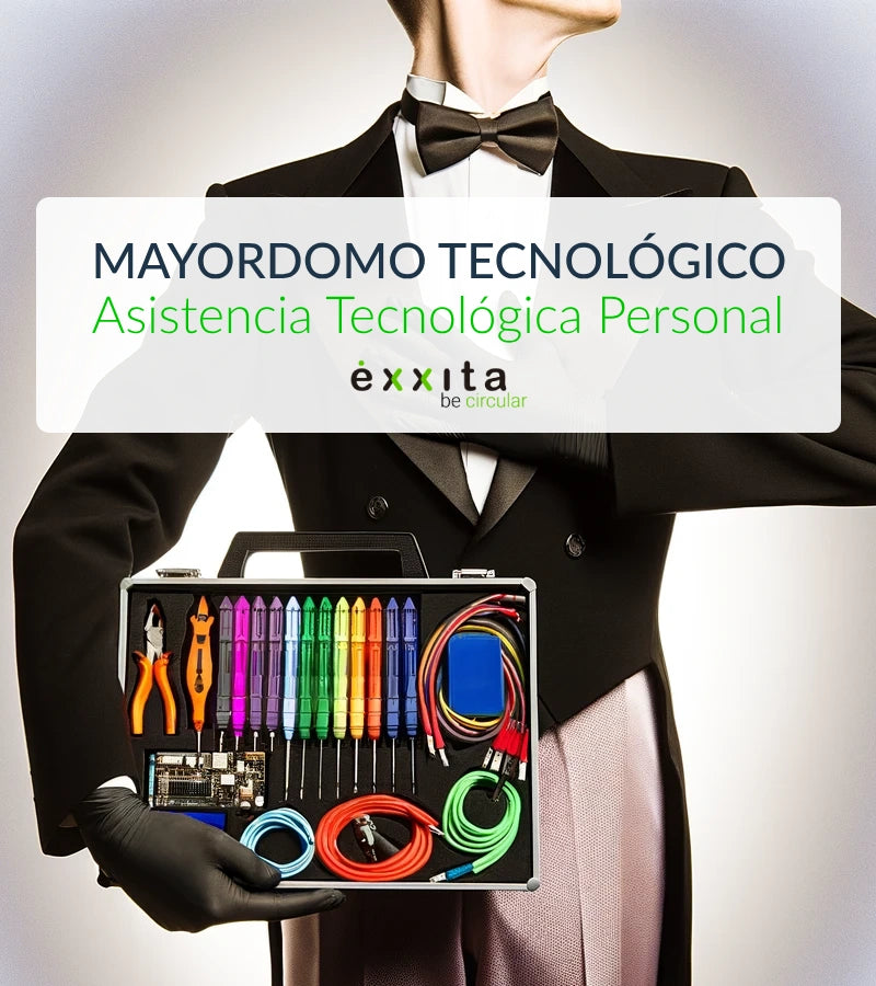 Mayordomo Tecnológico